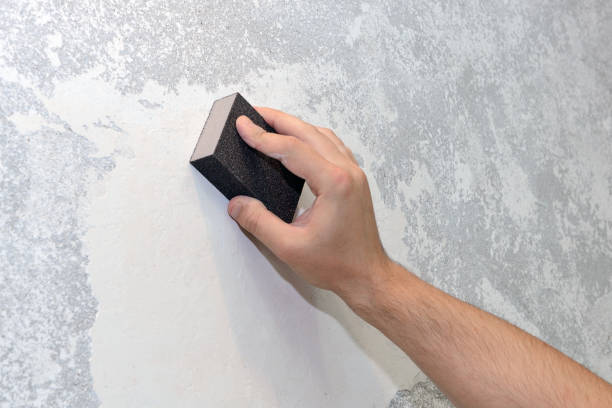 Best Biohazard Mold Removal  in Tacoma, WA