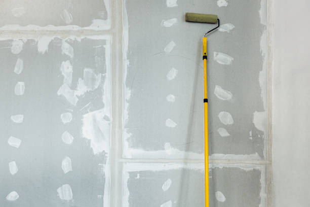 Best Mold Odor Removal Services  in Tacoma, WA