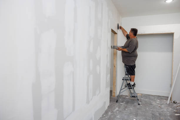 Best Mold Documentation for Insurance Claims  in Tacoma, WA