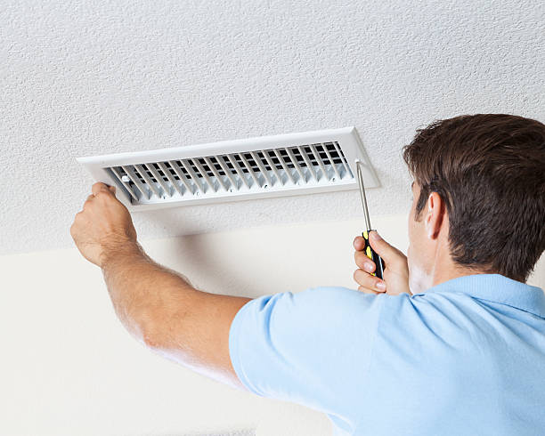Best Attic Mold Removal  in Tacoma, WA
